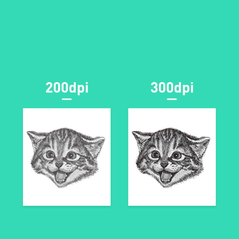 Due stampe di testa di gatto in bianco e nero su sfondo turchese: 200dpi a sinistra, 300dpi a destra.