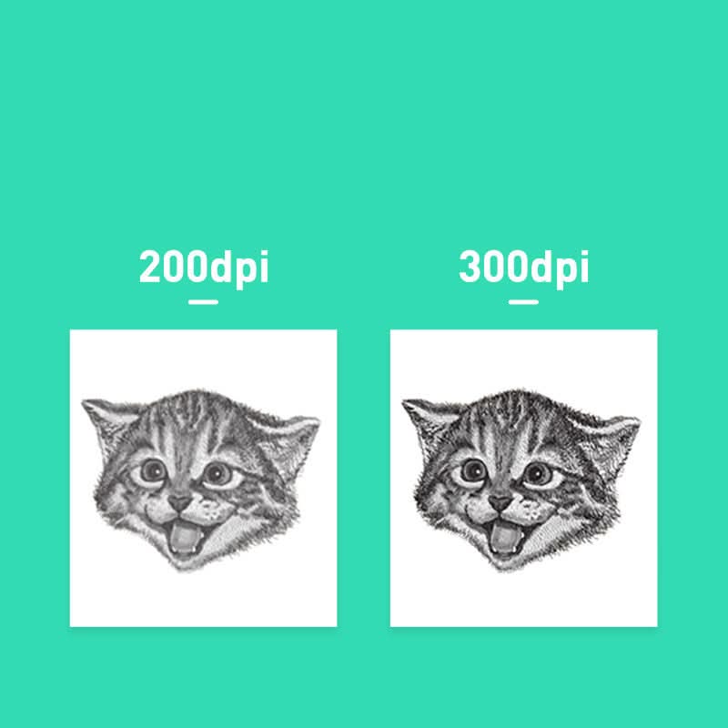 Due stampe di testa di gatto in bianco e nero su sfondo turchese: 200dpi a sinistra, 300dpi a destra.