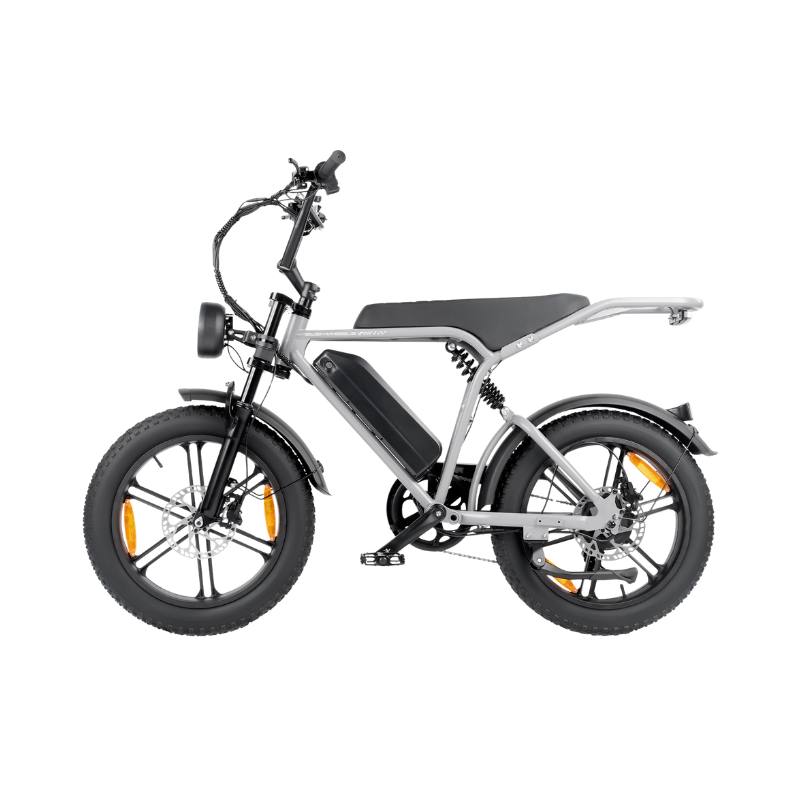 Bicicletta elettrica da adulto con pneumatici grassi 20×4.0, batteria 48V 15Ah e motore 250W, freni a disco.