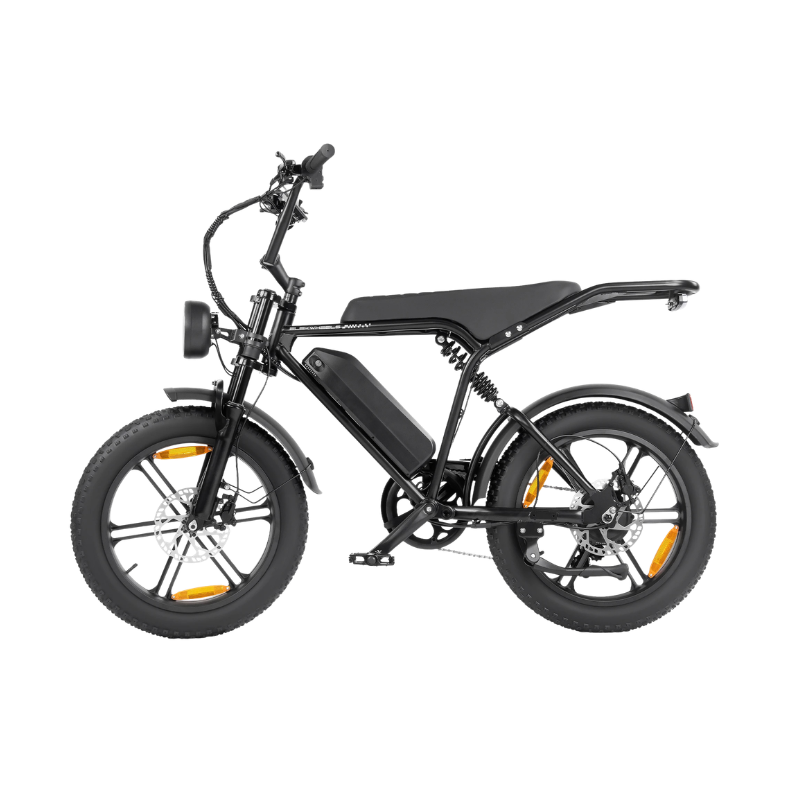 Bici elettrica da città per adulti con pneumatici grassi 20×4.0, 250W, 48V, 7 velocità, freni a disco, nero.