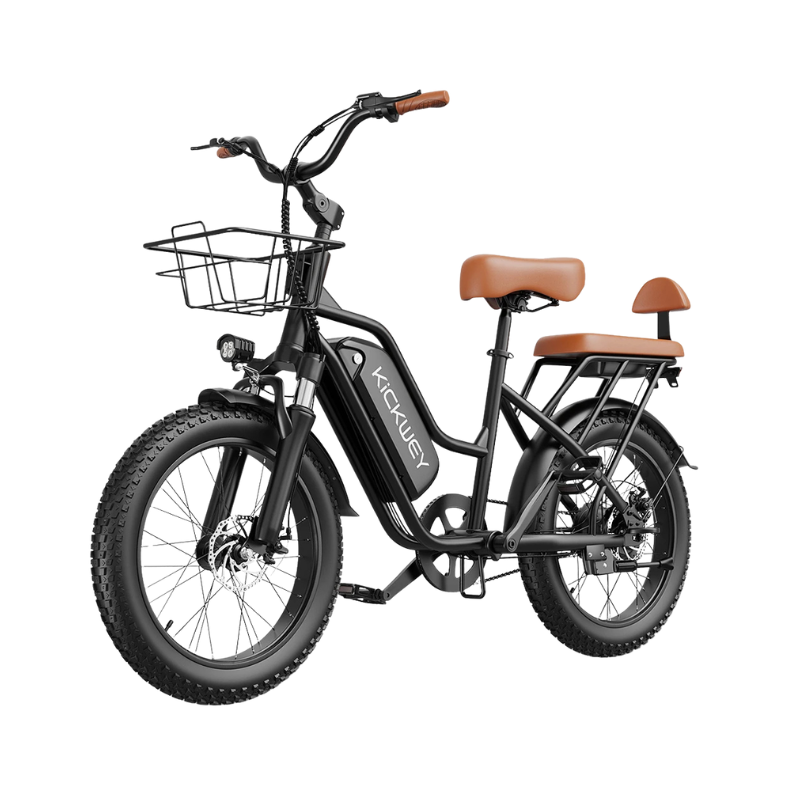 Bici elettrica a doppia sella con cestino, ruote da 20, batteria 48V 20Ah, autonomia 70–100km, potenze 250W/750W/1500W