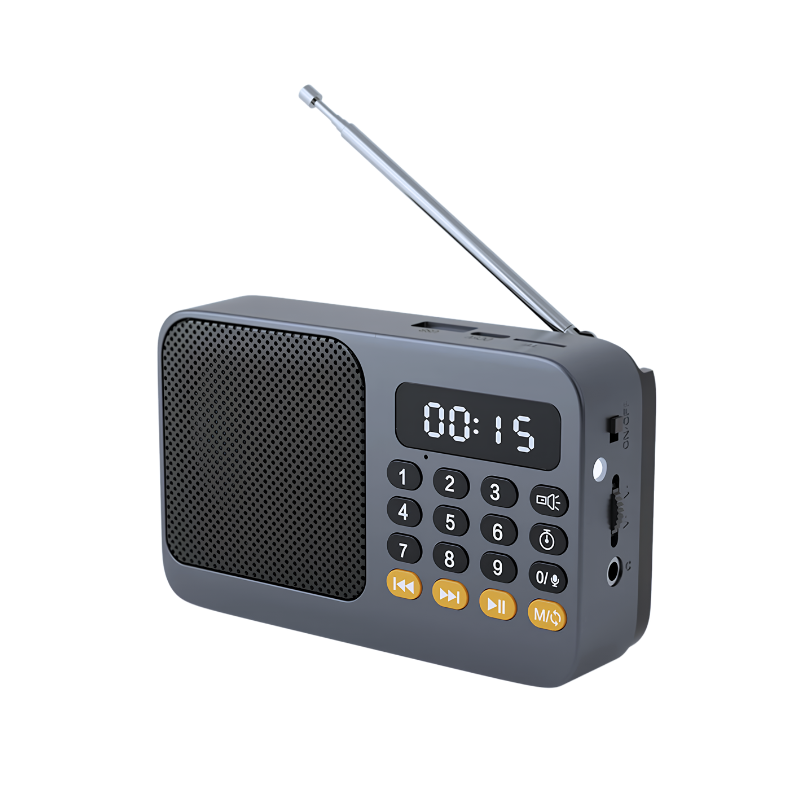 Radio portatile digitale grigia con display LED, antenna e tasti,supporta USB, TF e mp3 con microfono integrato