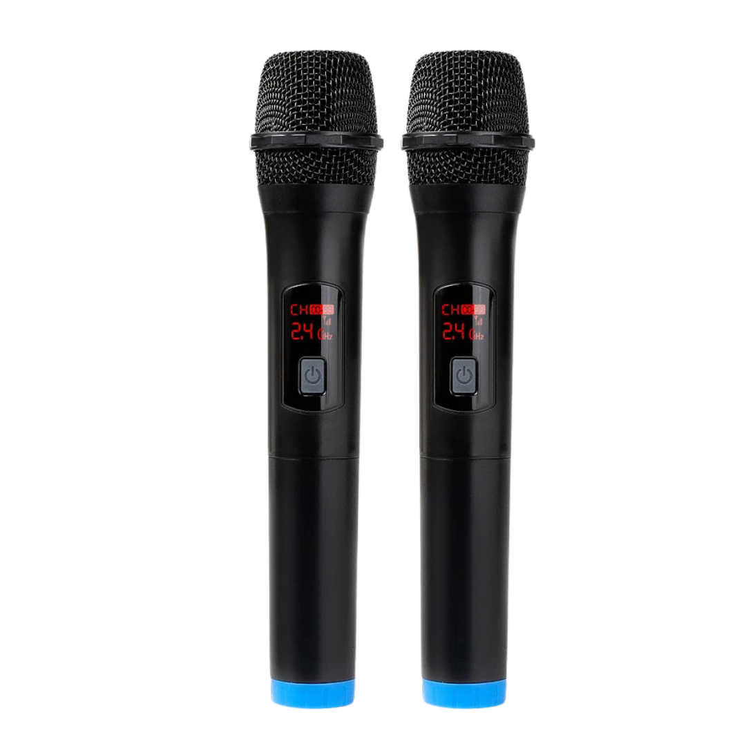 Microfono Wireless Microfono Portatile Frequenza Fissa 1/2 Set Potenza Batteria 1200mAh