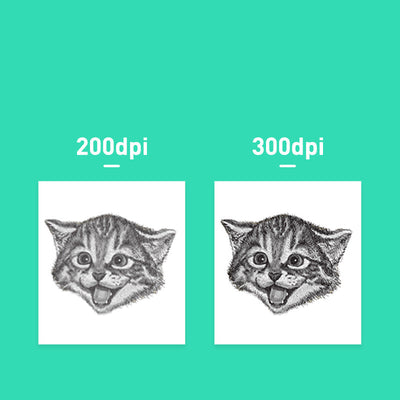 Due stampe di testa di gatto in bianco e nero su sfondo turchese: 200dpi a sinistra, 300dpi a destra.