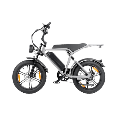 Bicicletta elettrica da adulto con pneumatici grassi 20×4.0, batteria 48V 15Ah e motore 250W, freni a disco.