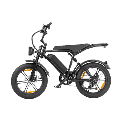 Bici elettrica da città per adulti con pneumatici grassi 20×4.0, 250W, 48V, 7 velocità, freni a disco, nero.