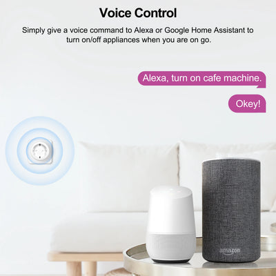 Presa Intelligente Smart Plug 20A WiFi Controllo Vocale Remoto APP Compatibile Alexa Google Home - POWER SMARTECH