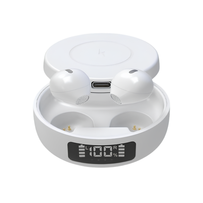 Auricolari wireless Bluetooth 5.0 stereo con custodia di ricarica e indicatore batteria al 100%.