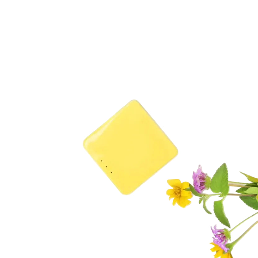 S867c0b6bc0af4060b2f9ae11415a384aU