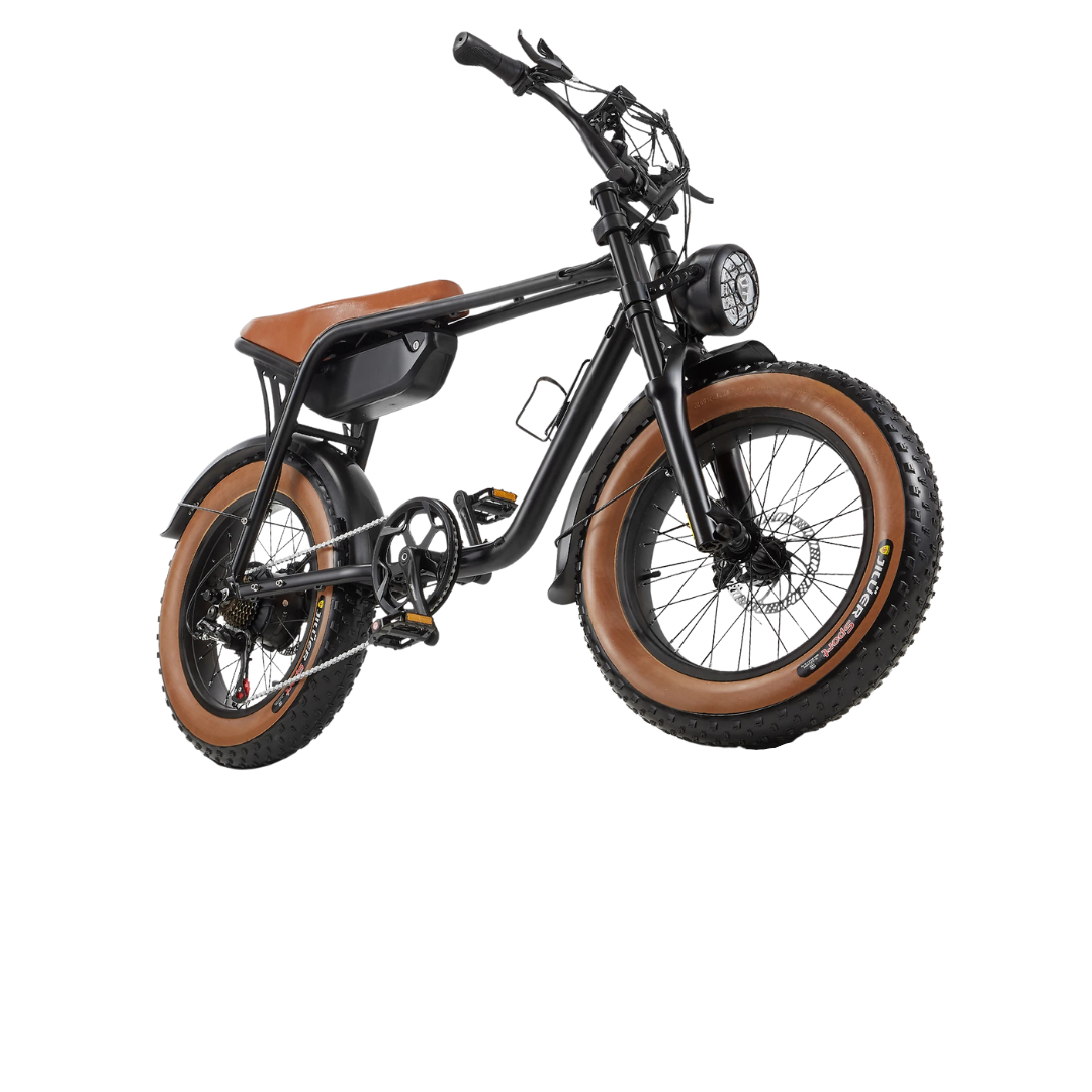 Bicicletta Elettrica Lega Alluminio Diverse Velocità Batteria 15AH Alimentazione Litio 25 km/h Mobilità Elettronica
