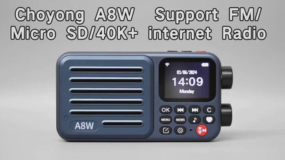 Radio Internet Portatile  WIFI  FM 4G Scheda Micro-SD Radio Tascabile Digitale