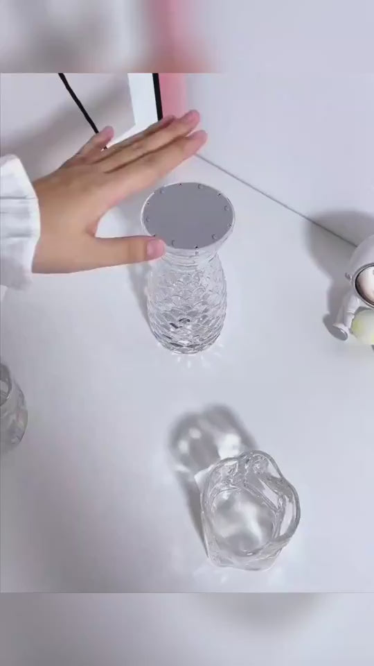 Carica il video: Lampada LED Effetto Cristallo Design Pesce Ricaricabile USB 